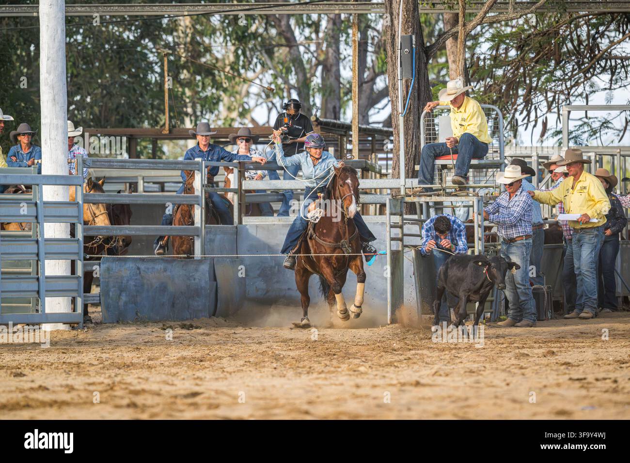 Eine Cowgirl wirbelt ihren Lassoo, während sie beim individuellen Break-Away-Roping-Event beim Mareeba Rodeo 2026 im Kerribee Park das Kalb herunterreitet. Stockfoto