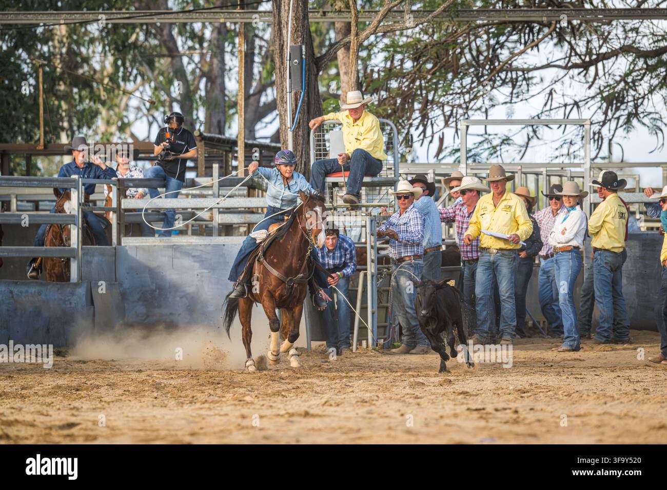 Eine Cowgirl wirbelt ihren Lassoo, während sie beim individuellen Break-Away-Roping-Event beim Mareeba Rodeo 2026 im Kerribee Park das Kalb herunterreitet. Stockfoto