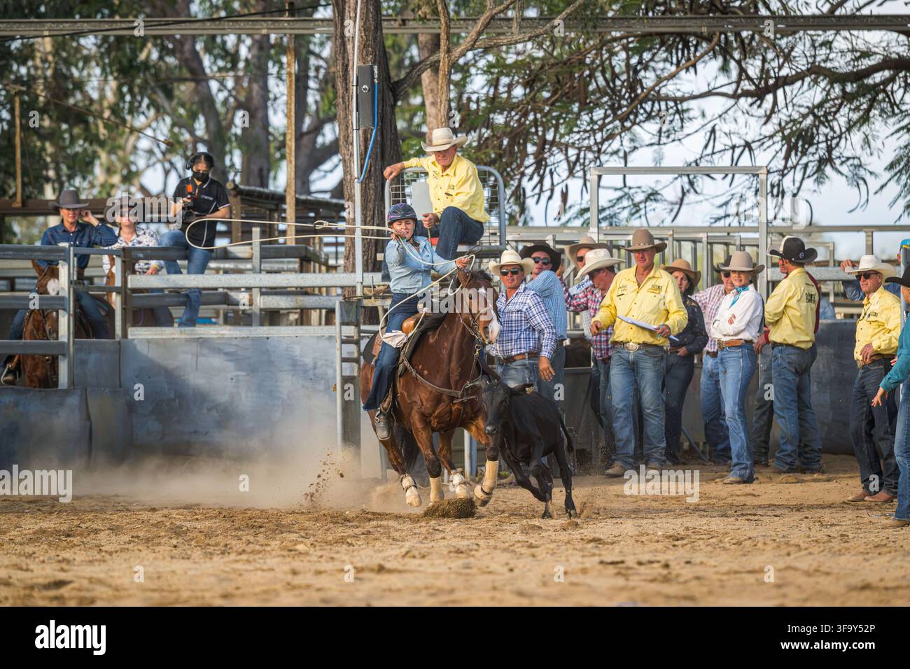 Eine Cowgirl wirbelt ihren Lassoo, während sie beim individuellen Break-Away-Roping-Event beim Mareeba Rodeo 2026 im Kerribee Park das Kalb herunterreitet. Stockfoto