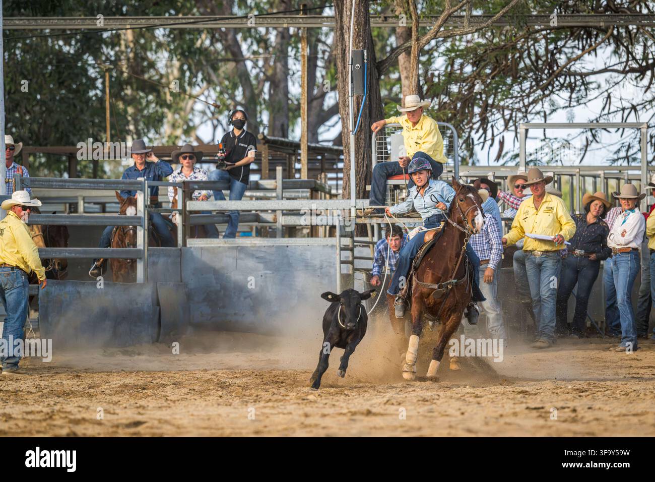 Eine Cowgirl wirbelt ihren Lassoo, während sie beim individuellen Break-Away-Roping-Event beim Mareeba Rodeo 2026 im Kerribee Park das Kalb herunterreitet. Stockfoto