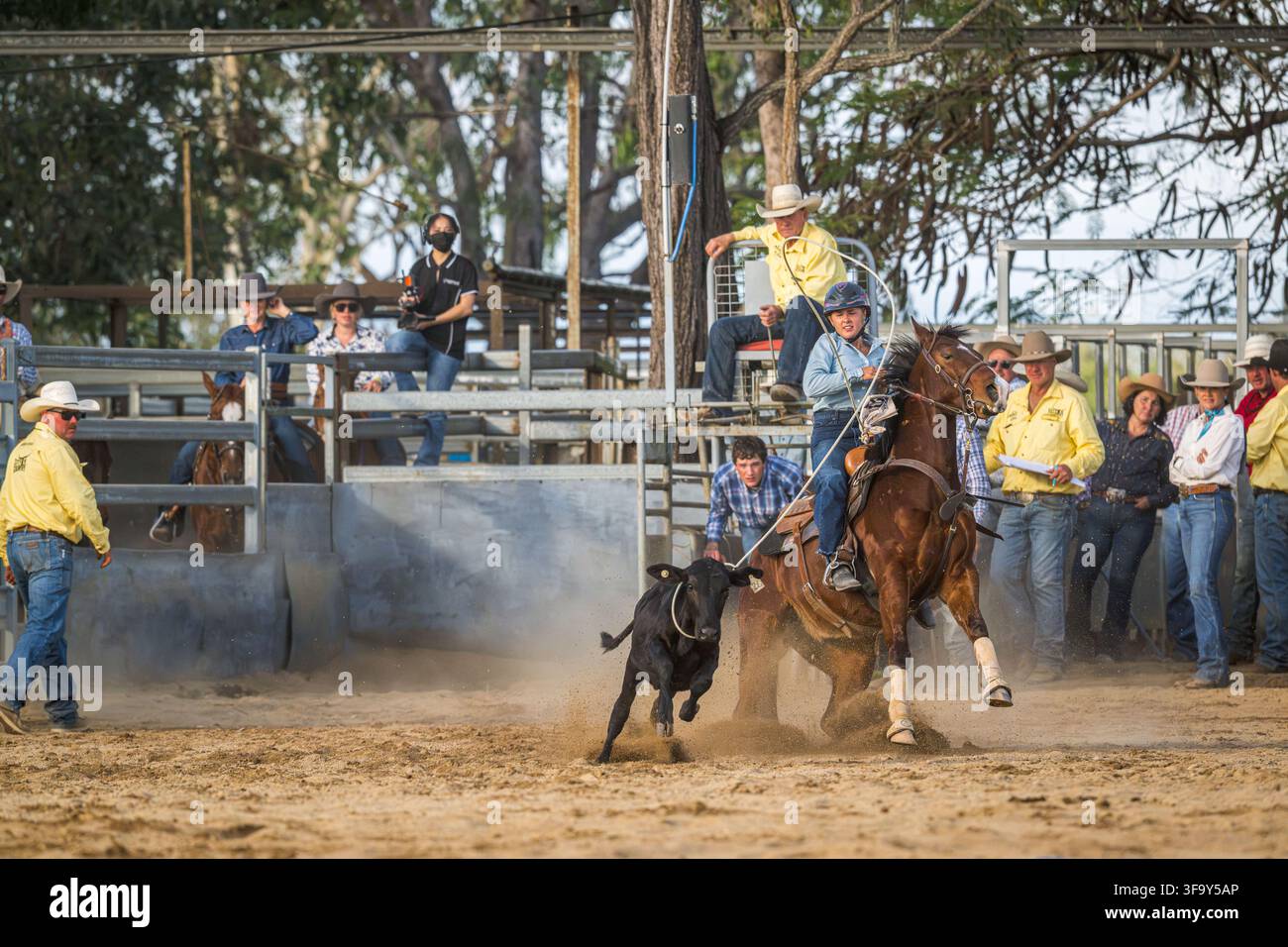 Eine Cowgirl wirbelt ihren Lassoo, während sie beim individuellen Break-Away-Roping-Event beim Mareeba Rodeo 2026 im Kerribee Park das Kalb herunterreitet. Stockfoto