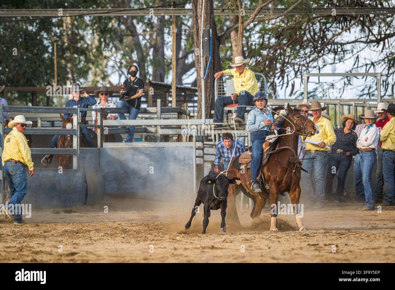Eine Cowgirl wirbelt ihren Lassoo, während sie beim individuellen Break-Away-Roping-Event beim Mareeba Rodeo 2026 im Kerribee Park das Kalb herunterreitet. Stockfoto