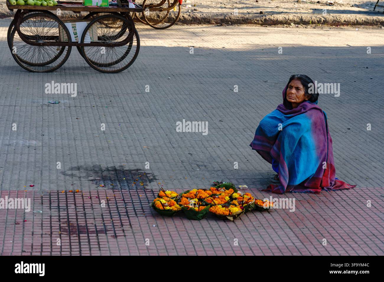 Indien. Uttarakhand. Haridwar. Eine alte indische Frau verkauft rituelle Opfergaben auf der Straße // India. Uttarakhand. Haridwar. Eine ältere indische Frau Stockfoto