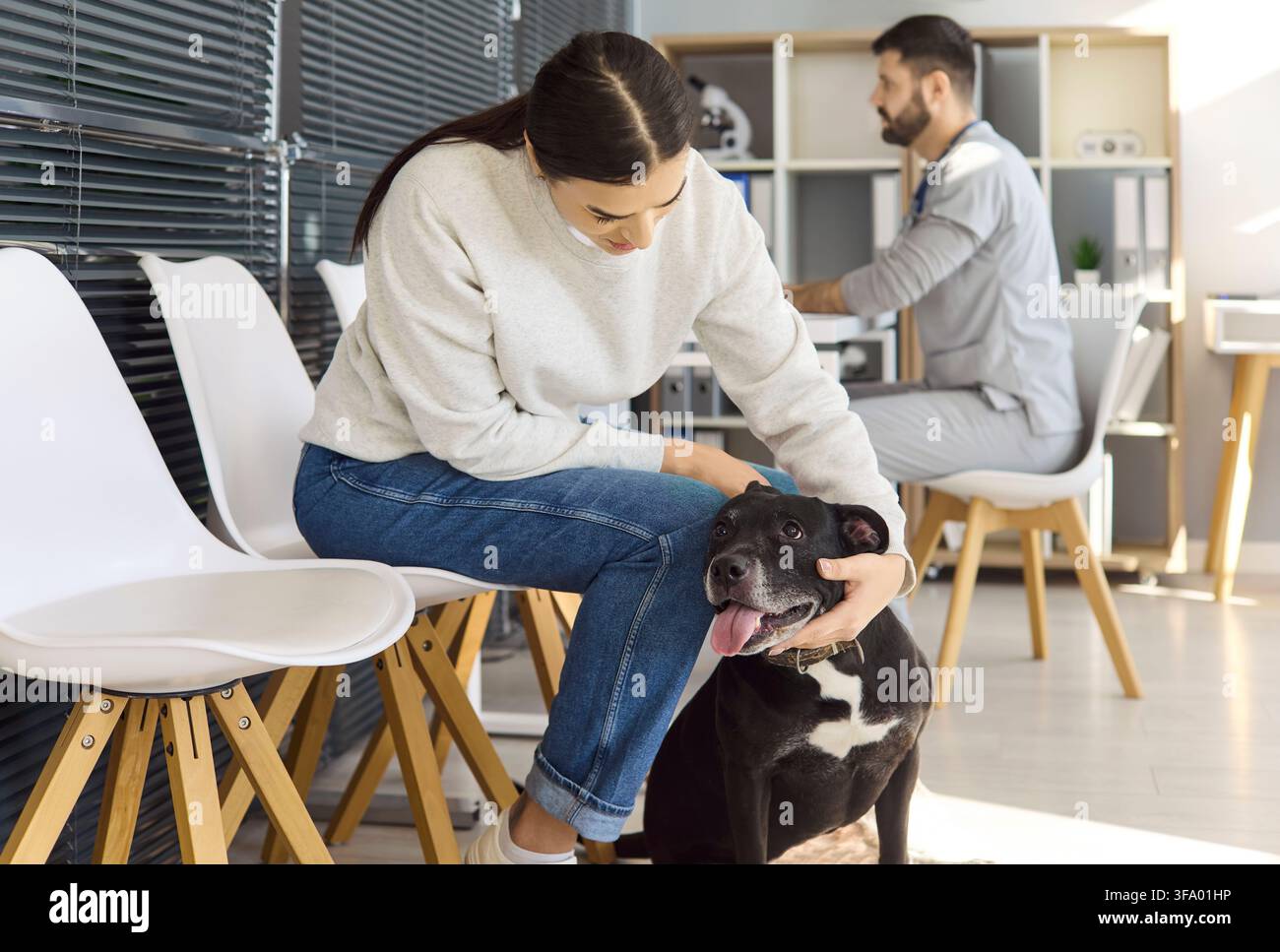 Besitzer tröstet Hund im Wartezimmer der Tierklinik, Tierarzt arbeitet im Hintergrund Stockfoto
