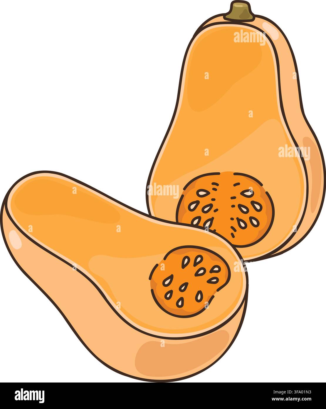 Einfache handgezeichnete Illustration einer Butternuss-Kürbis Stock Vektor