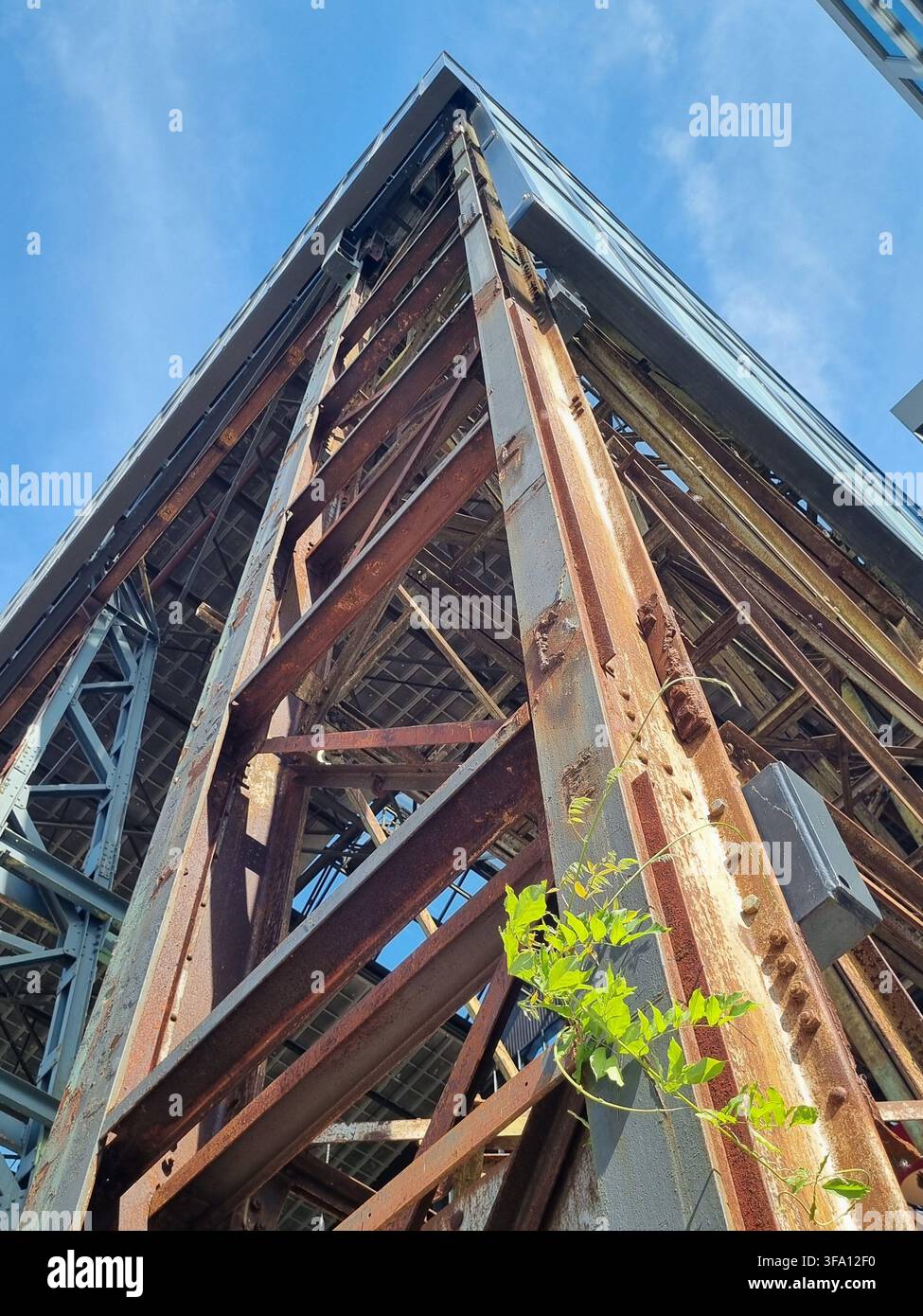 Dramatische niedrige Blickwinkelaufnahme eines verrosteten Corten-Stahlträgers mit einer zarten grünen Ranke, die an einem blauen Himmel in Oostenburg Amsterdam emporsteigt. Konzept von in - Smartphone-aufgenommenes Stockfoto