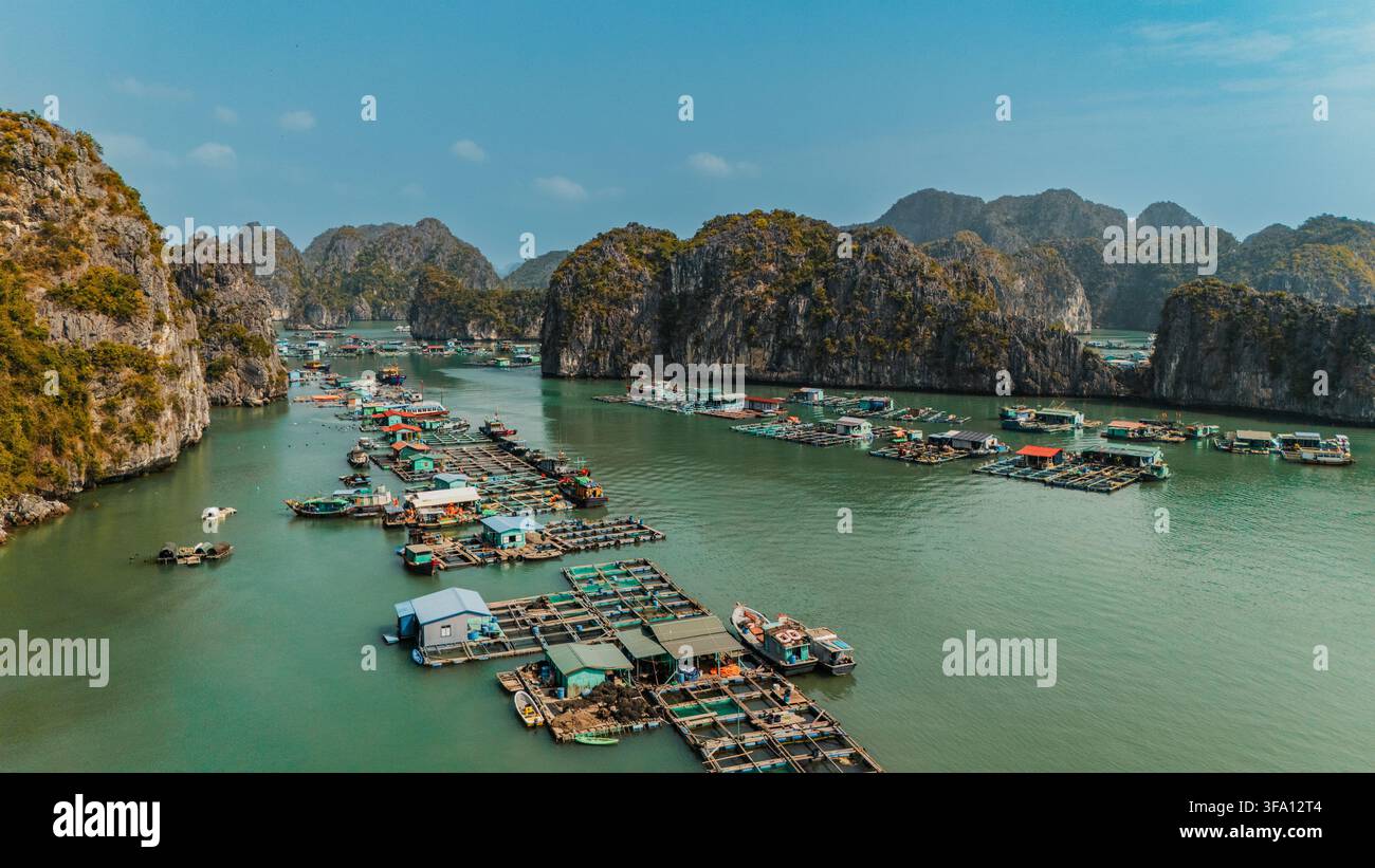 Luftbild eines schwimmenden Fischerdorfs und Fischfarmen auf smaragdgrünem Wasser, umgeben von dramatischen Kalksteininseln in der Lan Ha-Bucht nahe Hai Phong, Vietnam Stockfoto