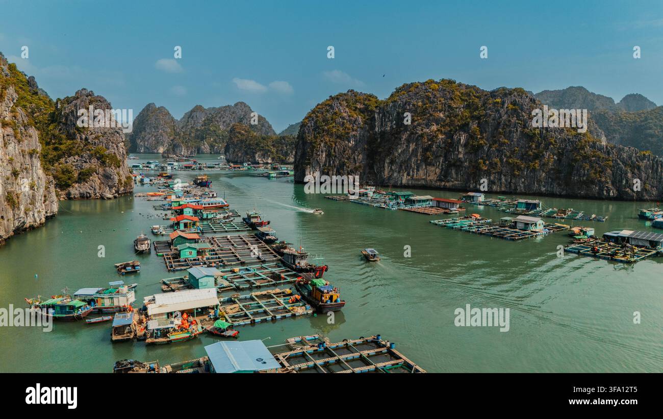 Luftaufnahme eines schwimmenden Fischerdorfs und Aquakulturplattformen auf smaragdgrünem Wasser, umgeben von dramatischen Kalksteininseln in der Lan-Ha-Bucht, Hai Phong Stockfoto