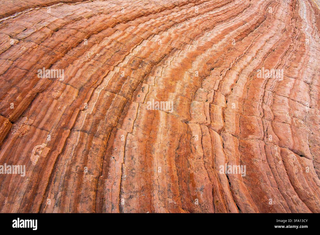 Nahaufnahme des bunten geschichteten Sandsteins an der Southern Wave in Arizona, USA, die fließende orangefarbene, rote und cremefarbene geologische Muster offenbart, die durch Erosion geformt wurden Stockfoto