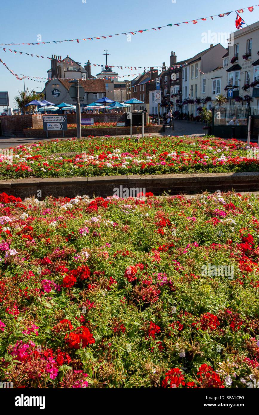 Geranien in der Mitte eines Kreisverkehrs am Seefront vor dem King's Head Pub in Deal in Kent. Stockfoto