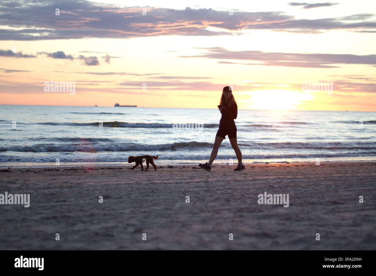 8. Juli 2026, Palanga, Litauen, Frau geht mit Hund am Strand bei Sonnenuntergang spazieren Stockfoto