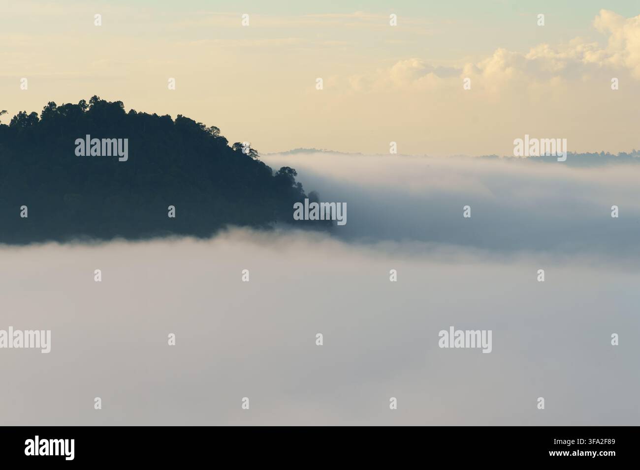 Ein bewaldeter tropischer Bergrücken erhebt sich über dichte Schichten aus tiefer Wolke und Nebel, mit fernen Baumwipfeln und sanftem warmem Licht unter einem weiten Himmel. Stockfoto