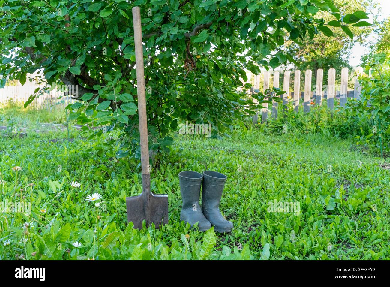 Gartenessentials: Schaufel und Stiefel in einer üppigen grünen Hinterhofumgebung. Ökologischer Lebensstil, Gärtnern, Farmarbeit Stockfoto