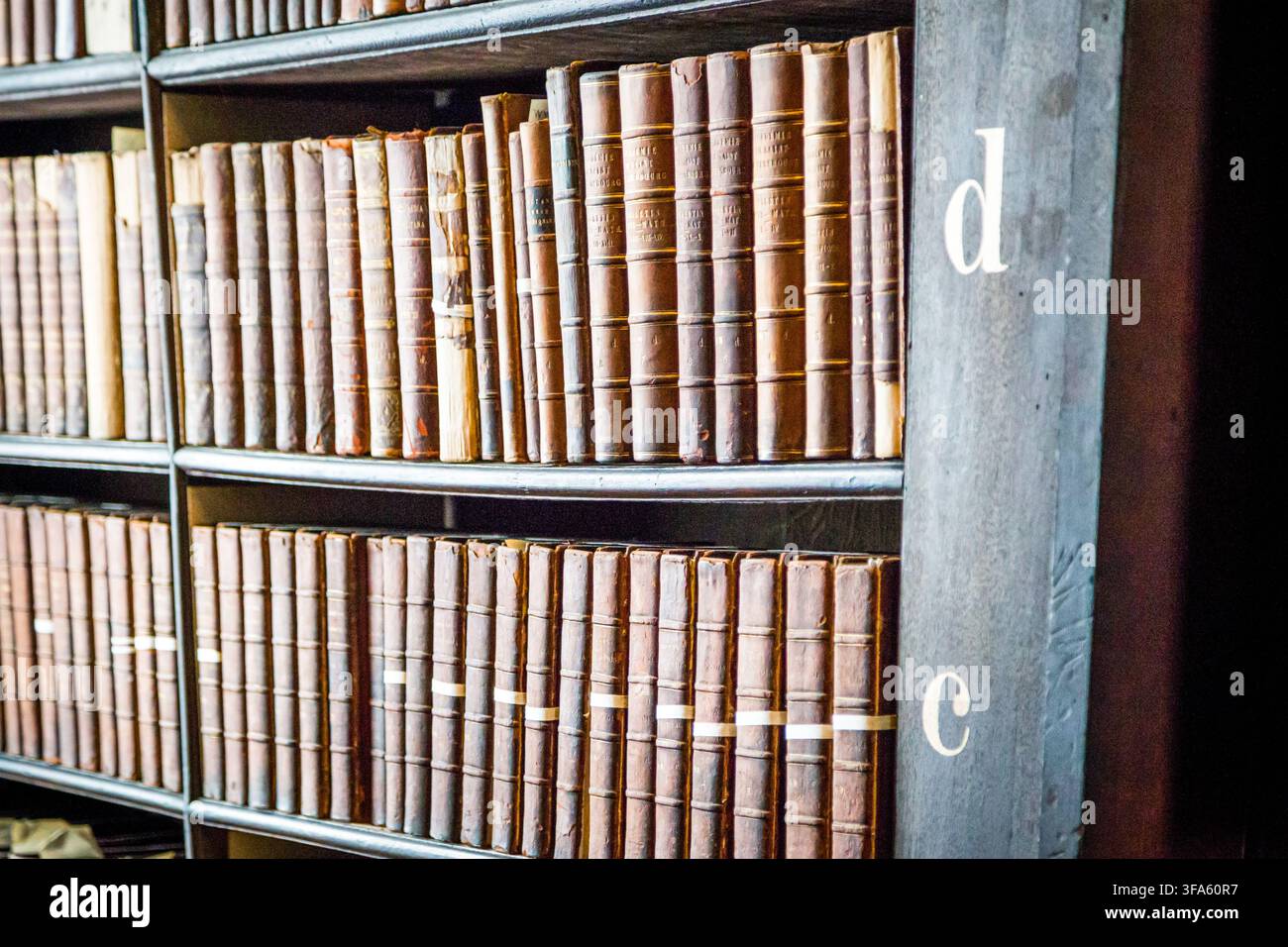 Reihen alter ledergebundener Bücher in einer historischen irischen Bibliothek. Stockfoto