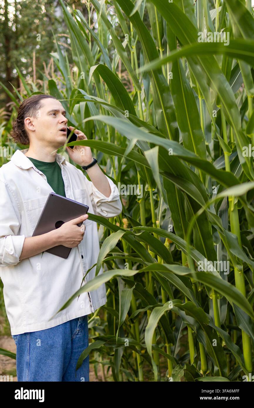 Mittlerer erwachsener Landwirt hält einen Tablet-Computer und spricht dabei am Smartphone zwischen hohen Maisblättern. Konzept von Multitasking in der intelligenten Landwirtschaft, agiler Kommunik Stockfoto