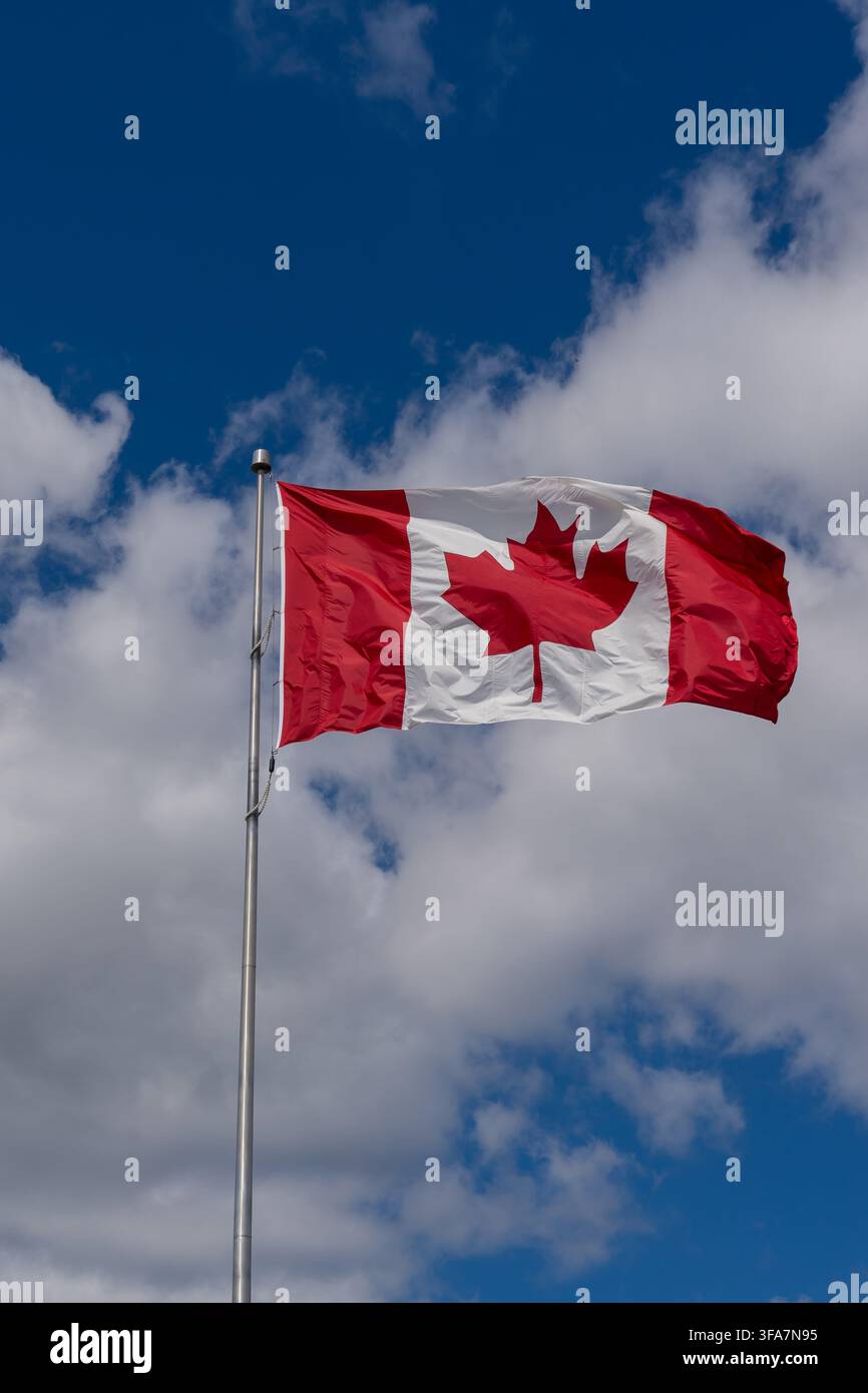 Eine Nationalflagge Kanadas weht vor einem blauen Himmel mit weißen Wolken. Stockfoto