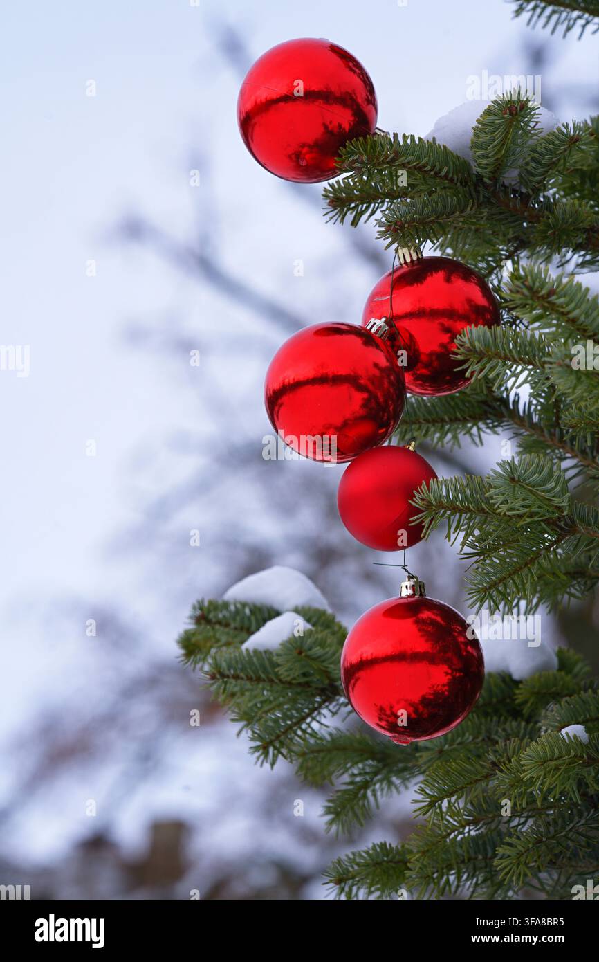Weihnachtsornamente, die an einem Ast hängen, in einer verschneiten Außenumgebung, mit roten Weihnachtsornamenten, Kiefernzweigen, Schnee, aus einer Nahaufnahme Stockfoto