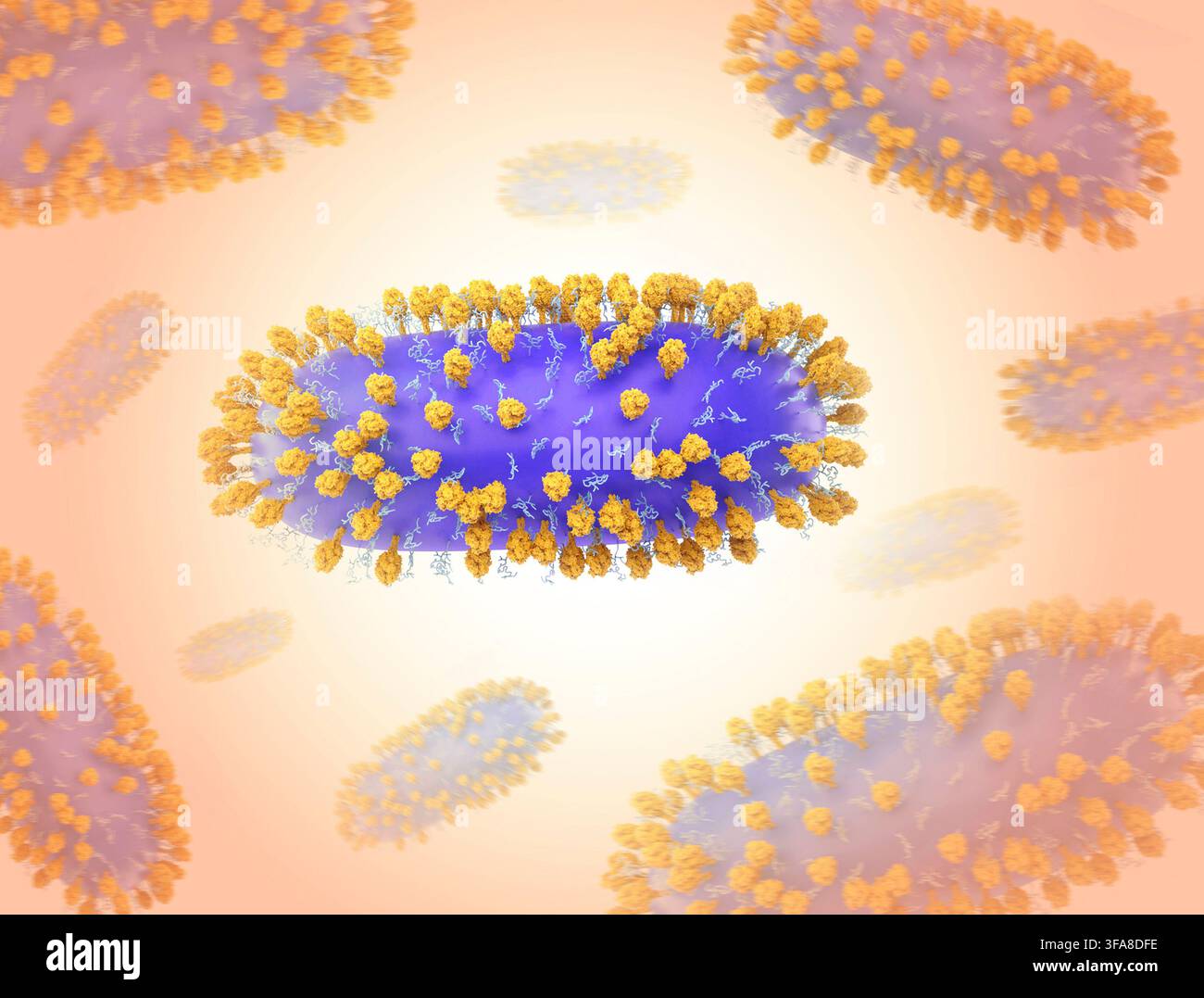 Humanes Respiratory-Syncytial-Virus (RSV) Kreative Kunst mit 3D-Darstellungen des Respiratory-Syncytial-Virus (RSV) Ñ ein häufiges ansteckendes Virus, das die menschlichen Atemwege infiziert Ñ eingefärbt wie folgt: (die Virushülle ist violett, G-Glykoproteine sind hellblau und F-Glykoproteine sind orange). F-Glykoproteine ermöglichen es dem Virus, mit menschlichen Zellen zu fusionieren und diese zu infizieren. Eine optimierte und verbesserte Version eines Rasterelektronenmikroskop-Bildes, Credit: NIAID / NIH Stockfoto