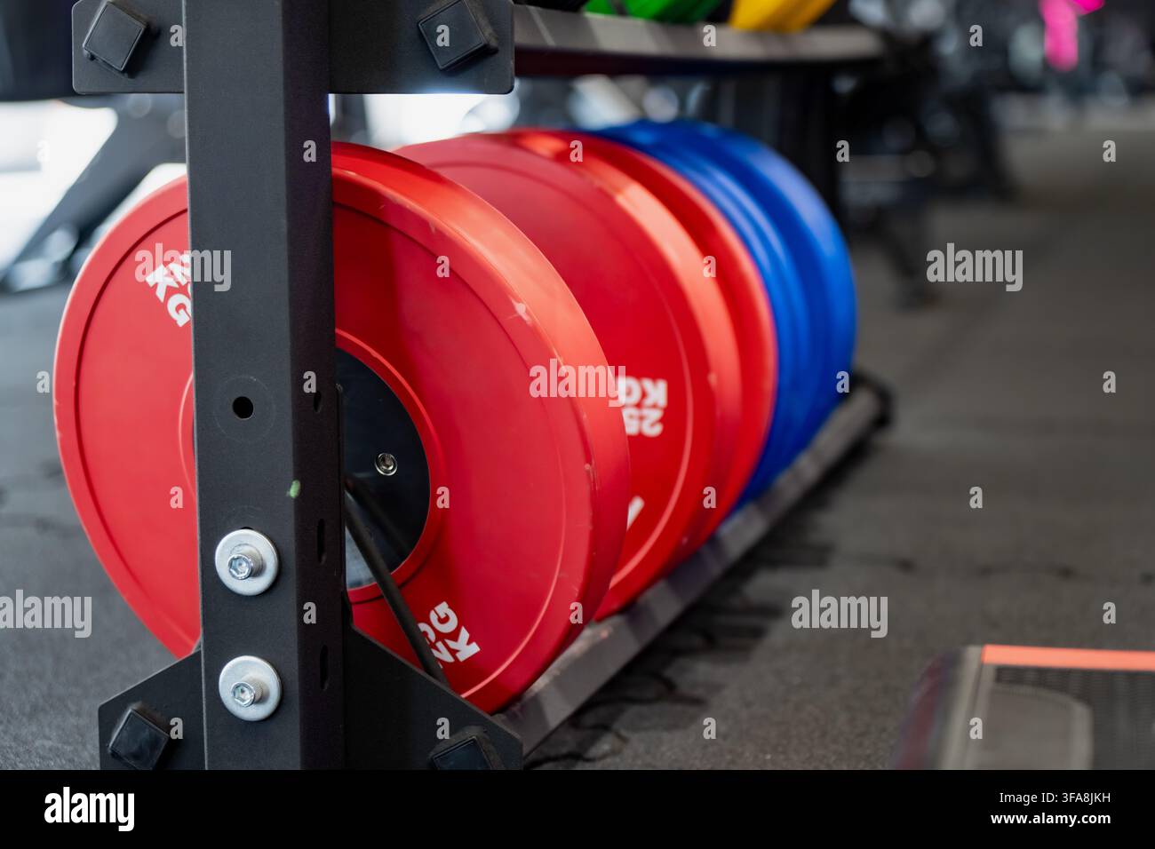 Rote und blaue Gummipuffer-Gewichtsplatten, die in einer Reihe auf einem robusten schwarzen Stahlregal in einer modernen Fitnesstraineinrichtung gelagert sind Stockfoto