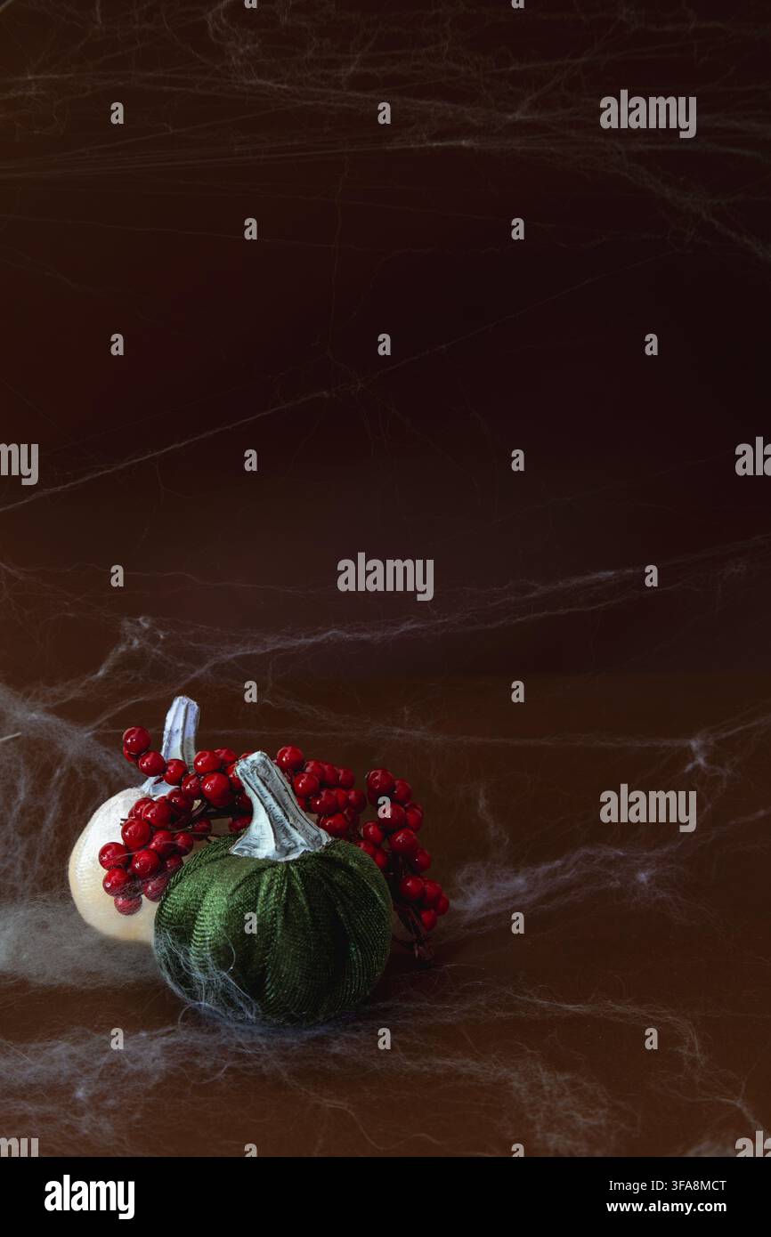 Ein grüner gerippter Samt-Kürbis gepaart mit einer Gruppe roter dekorativer Beeren, neben einem weichen weißen Kürbis auf einer dunklen Oberfläche, die mit feinen Spinnen bedeckt ist Stockfoto
