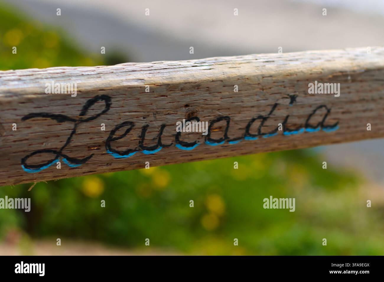 Nahaufnahme eines Holzschildes mit der Aufschrift 'Leucadia' in blauer Farbe. Im Hintergrund verschwommen grünes Gras und gelbe Wildblumen. Natürliche Außenumgebung deutet an Stockfoto