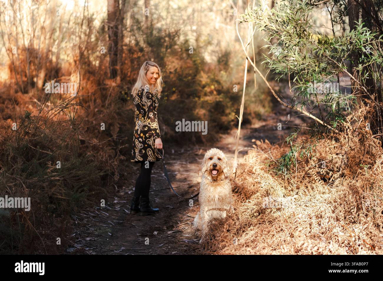 Frau und Hund genießen einen Spaziergang auf einem Waldweg und zeigen Freundschaft und Kameradschaft Stockfoto