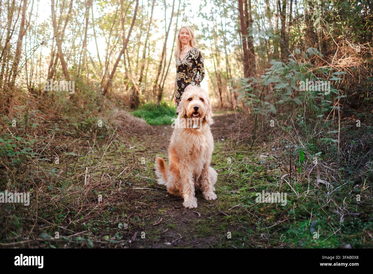 Frau steht hinter ihrem Goldendoodle-Hund, der auf einem Waldweg posiert Stockfoto