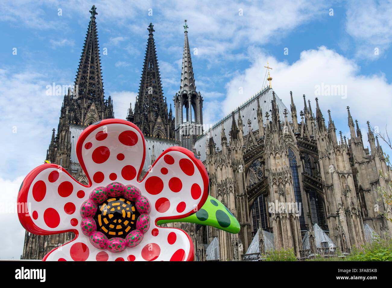 Köln, Deutschland – 3. Juni 2026: Yayoi Kusamas monumentale Blumenskulptur, die auf dem Dach des Museum Ludwig installiert ist, mit den gotischen Türmen des Kölner Doms Stockfoto