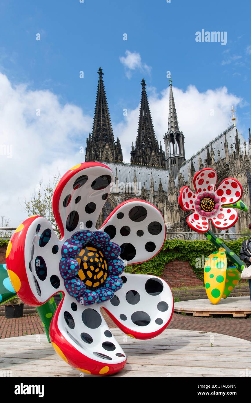 Köln, Deutschland – 3. Juni 2026: Yayoi Kusamas monumentale Blumenskulptur, die auf dem Dach des Museum Ludwig installiert ist, mit den gotischen Türmen des Kölner Doms Stockfoto