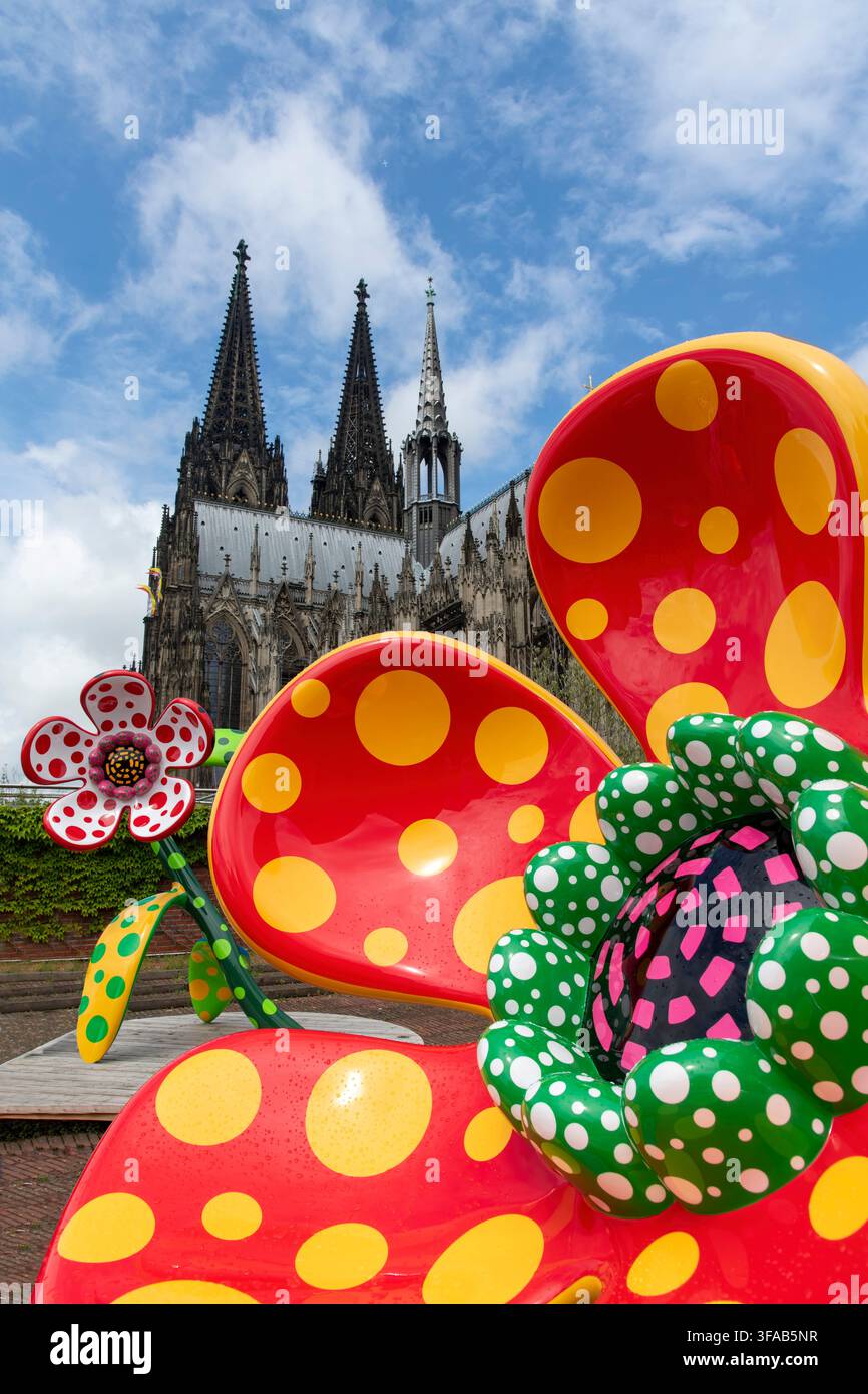 Köln, Deutschland – 3. Juni 2026: Yayoi Kusamas monumentale Blumenskulptur, die auf dem Dach des Museum Ludwig installiert ist, mit den gotischen Türmen des Kölner Doms Stockfoto