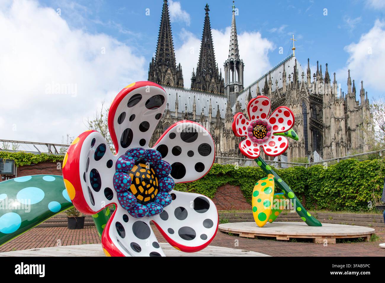 Köln, Deutschland – 3. Juni 2026: Yayoi Kusamas monumentale Blumenskulptur, die auf dem Dach des Museum Ludwig installiert ist, mit den gotischen Türmen des Kölner Doms Stockfoto