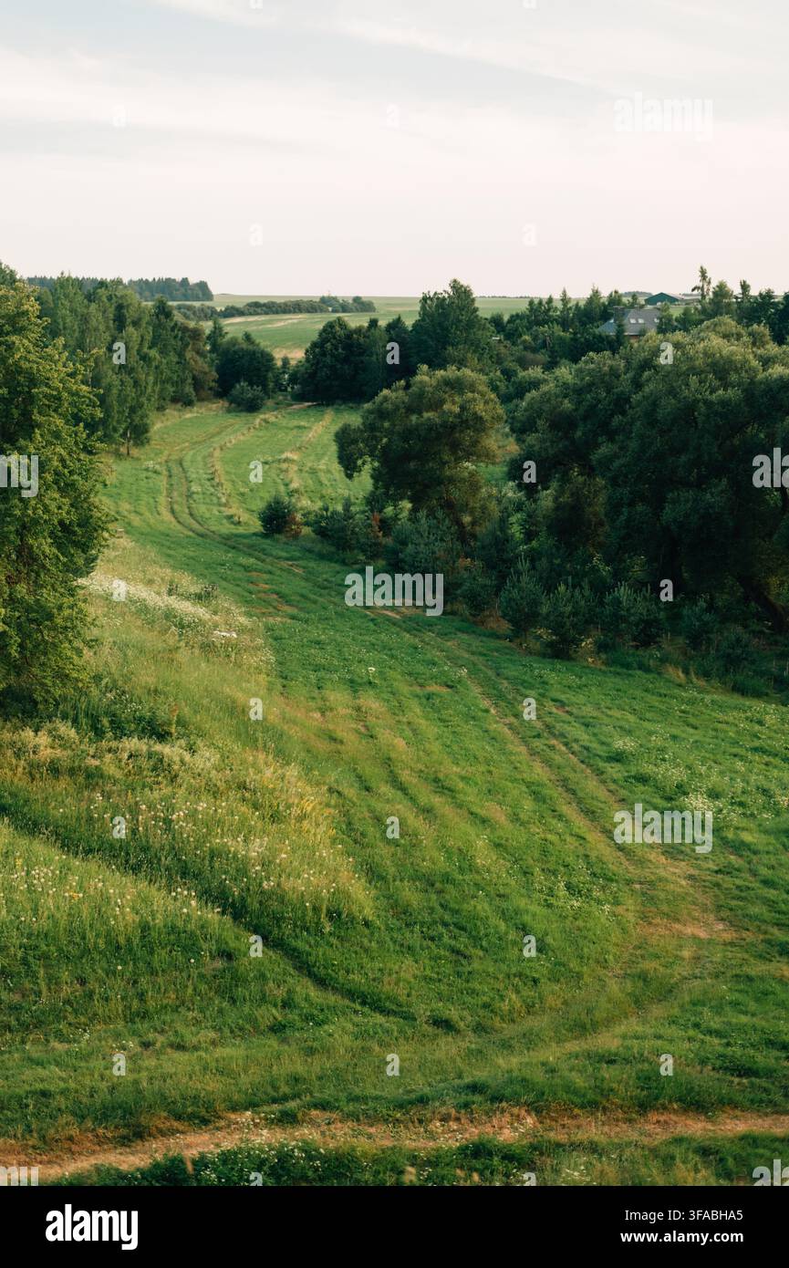 Blick auf das Feld und die Bäume vom Hügel. Hochwertiges Foto Stockfoto