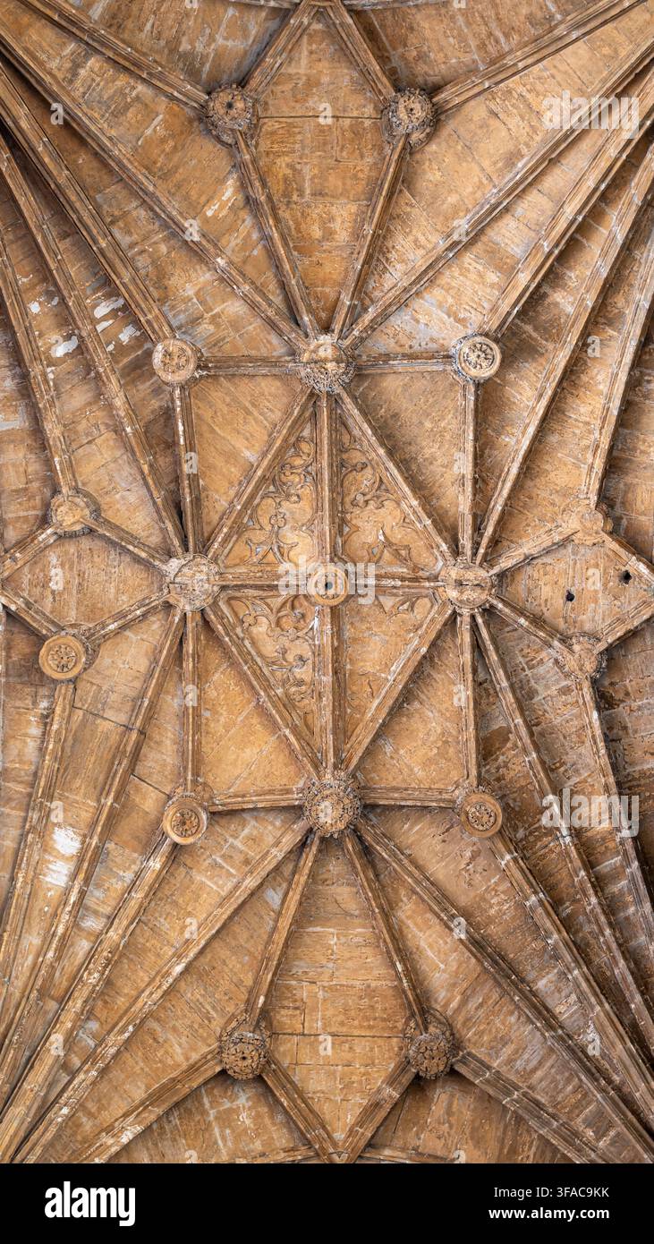 Ansicht eines Rippengewölbes im Hauptportal der gotischen Kathedrale von Oviedo, Spanien Stockfoto