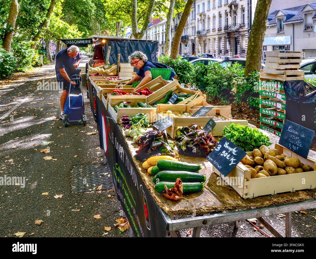 Frischer Bio-Gemüsestand mit Kunde und Besitzer am baumgesäumten Boulevard Heurteloup, zentral in Tours, Indre-et-Loire (37), Frankreich. Stockfoto