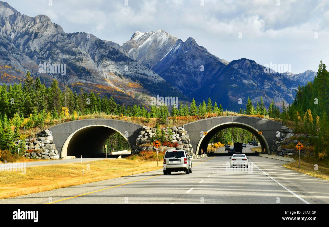 Trans-Canada-Highway im Banff-Nationalpark, Kanada Stockfoto