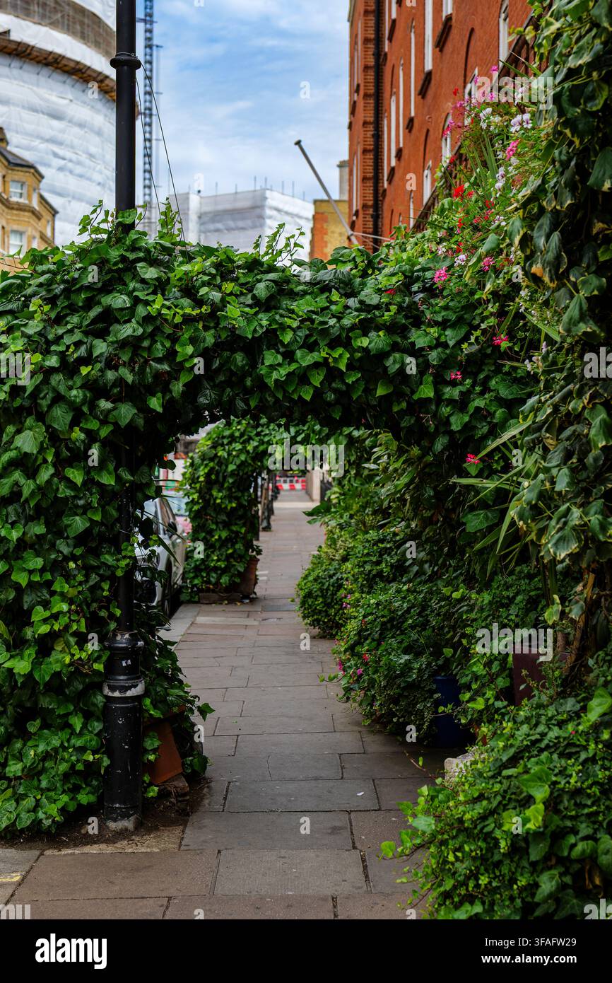 London - 07 22 2022: Kemble Street Gehweg mit efeubedeckten Bögen und blühenden Pflanzen. Schmaler städtischer Gehweg, gesäumt von Metallbögen, die mit dichtem Stockfoto