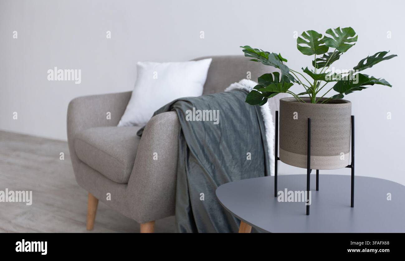 Große grüne Pflanze in gemütlichen Loft-Innenraum des Wohnzimmers Stockfoto