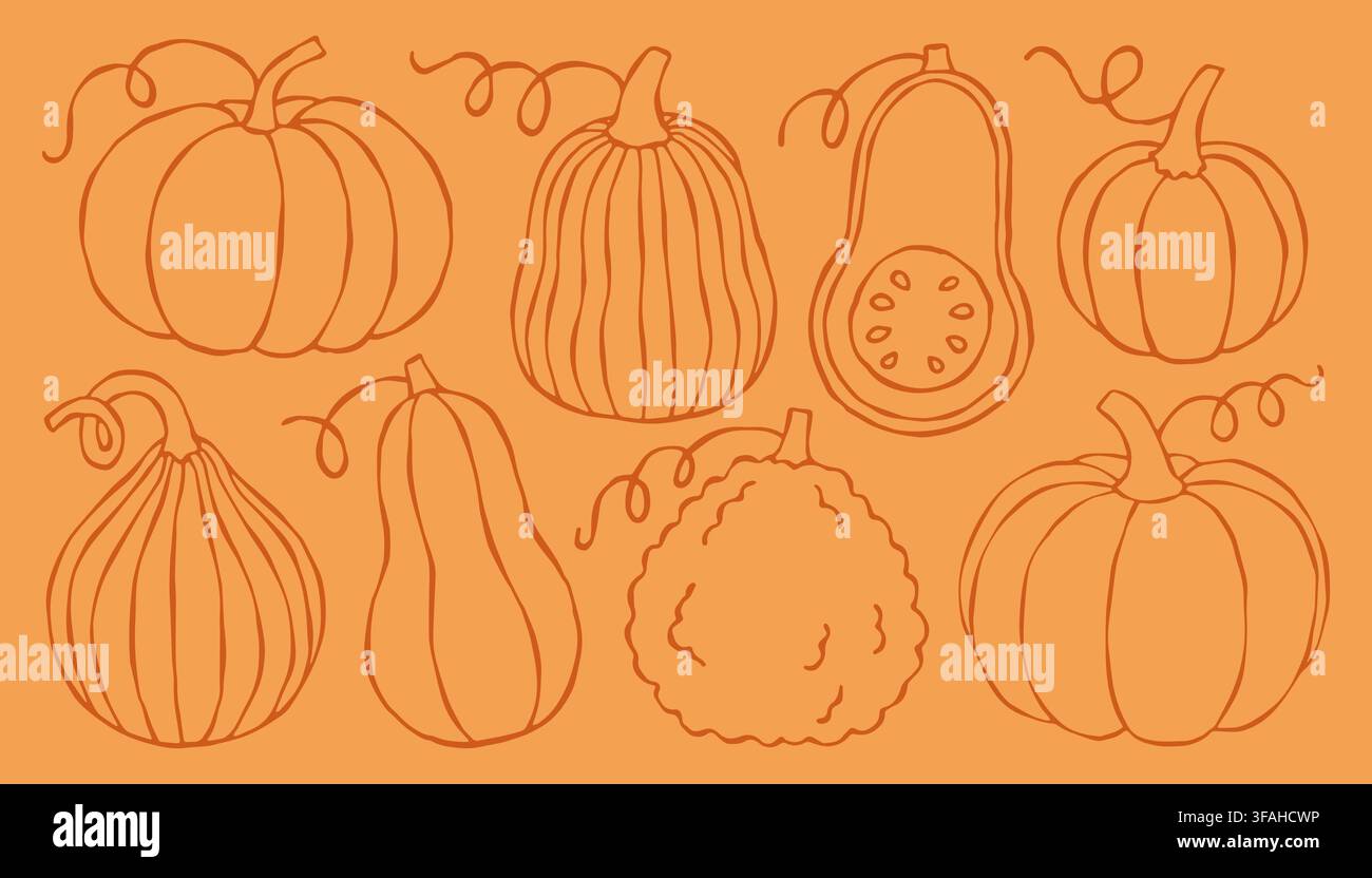 Doodle-Herbstkürbisse Vektor-Linienkunst-Set isoliert auf orangefarbenem Hintergrund. Ideal für Halloween-Grafiken, Thanksgiving-Einladungen, Erntedekor und Stock Vektor