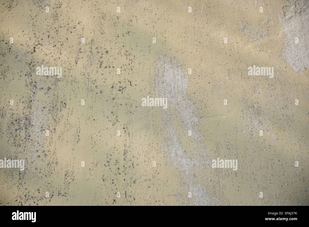 Nahaufnahme einer verwitterten hellgelb gestrichenen Betonwand mit abblätternder, abgeplatzter Farbe, dunklen Schimmelstellen und rauer Schmutztextur. Ideal für Vintage Stockfoto