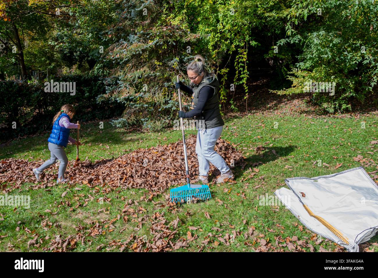 Eine Frau und ein Kind harken einen Haufen Herbstblätter auf einem grasbewachsenen Rasen. Stockfoto