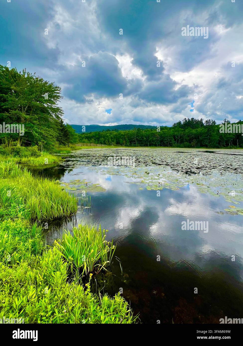 Rip-Van-Winkle-See in Tannersville, Region der Catskill Mountains, Bundesstaat New York, USA. Stockfoto