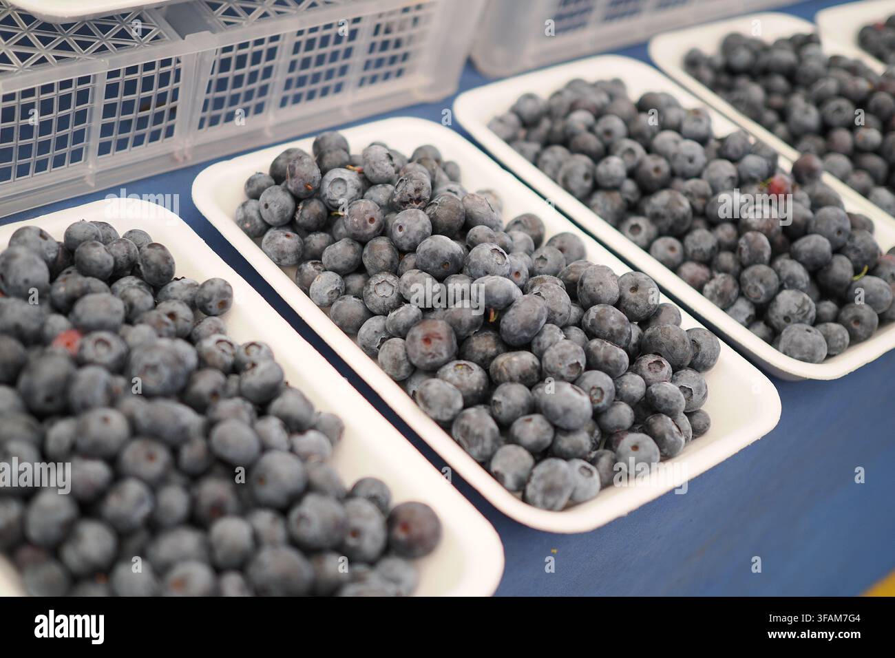 Frische Blaubeeren auf einem Markt ausgestellt Stockfoto