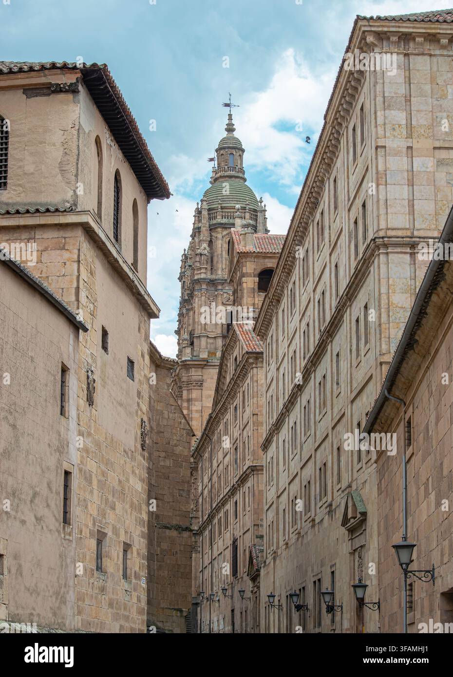 Straße im alten Viertel von Salamanca mit dem Turm der Kirche La Clerecia im Hintergrund, Spanien Stockfoto