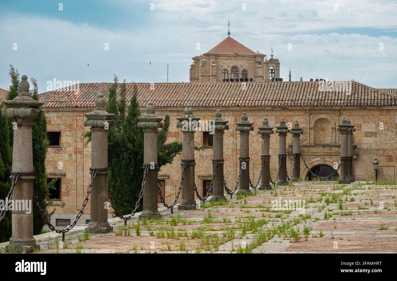 Äußere Säule im Nordflügel der Kathedrale von Salamanca, Spanien Stockfoto