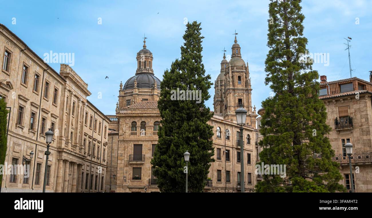Kuppel und Türme der Clerecía, päpstliche Universität von Salamanca, Spanien Stockfoto