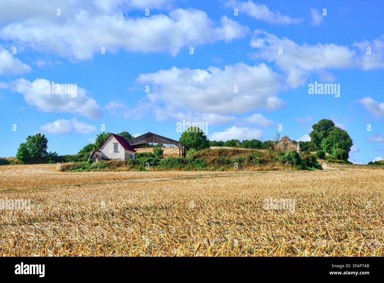Kleine verlassene Farm mit umliegenden Feldern, die noch zur Feldfruchtanbau genutzt werden (hier nach der Maisernte) - Zentralfrankreich. Stockfoto