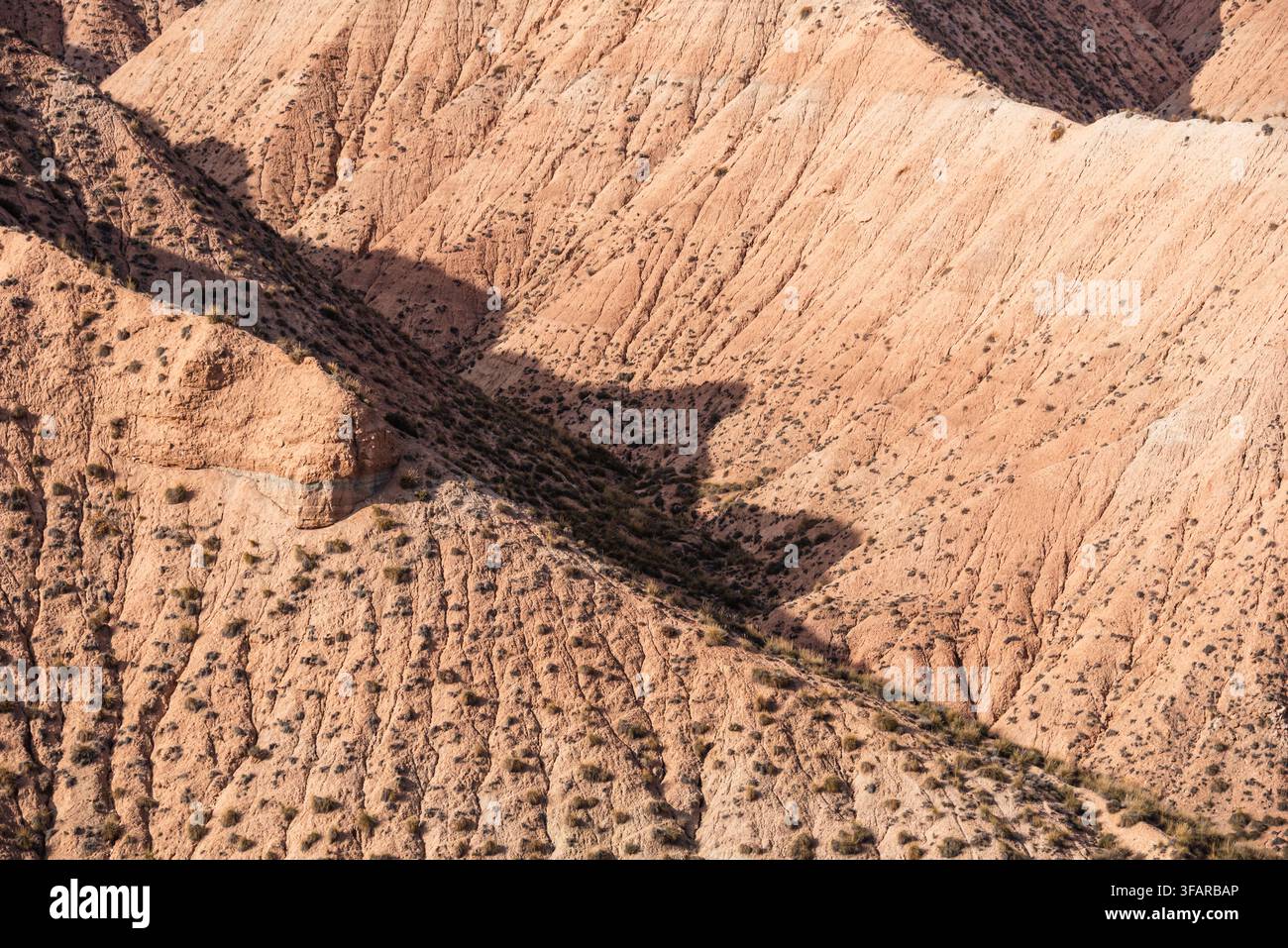 Erodierte Lehnhügel mit Graten und trockener Vegetation in einer Halbwüstenlandschaft von Andalusien Stockfoto