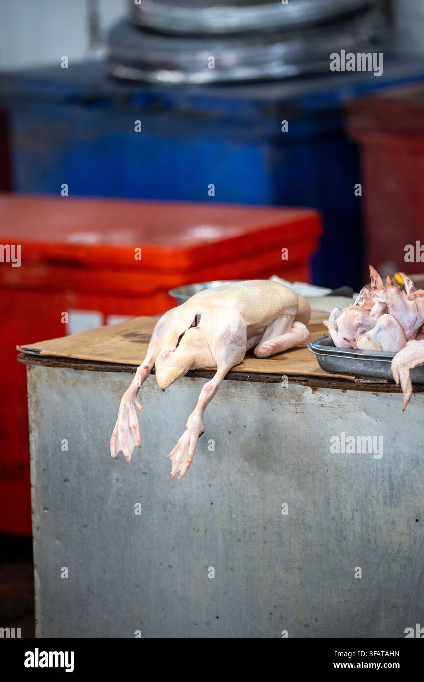 Frische rohe Ente liegt auf der Theke, die auf der traditionellen Feuchtigkeits-Straßenmarktabteilung in Asien verkauft wird. Stockfoto