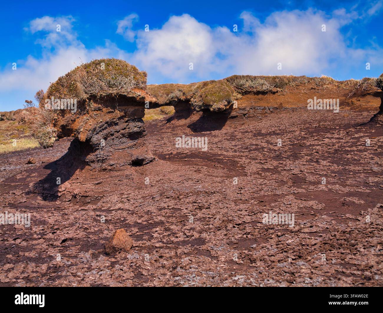 Getrocknete Torfschichten bilden einen zerklüfteten Erdwall südlich von Ward of Bressay, Shetland, UK, unter einem lebhaften blauen Himmel und treibenden Wolken Stockfoto