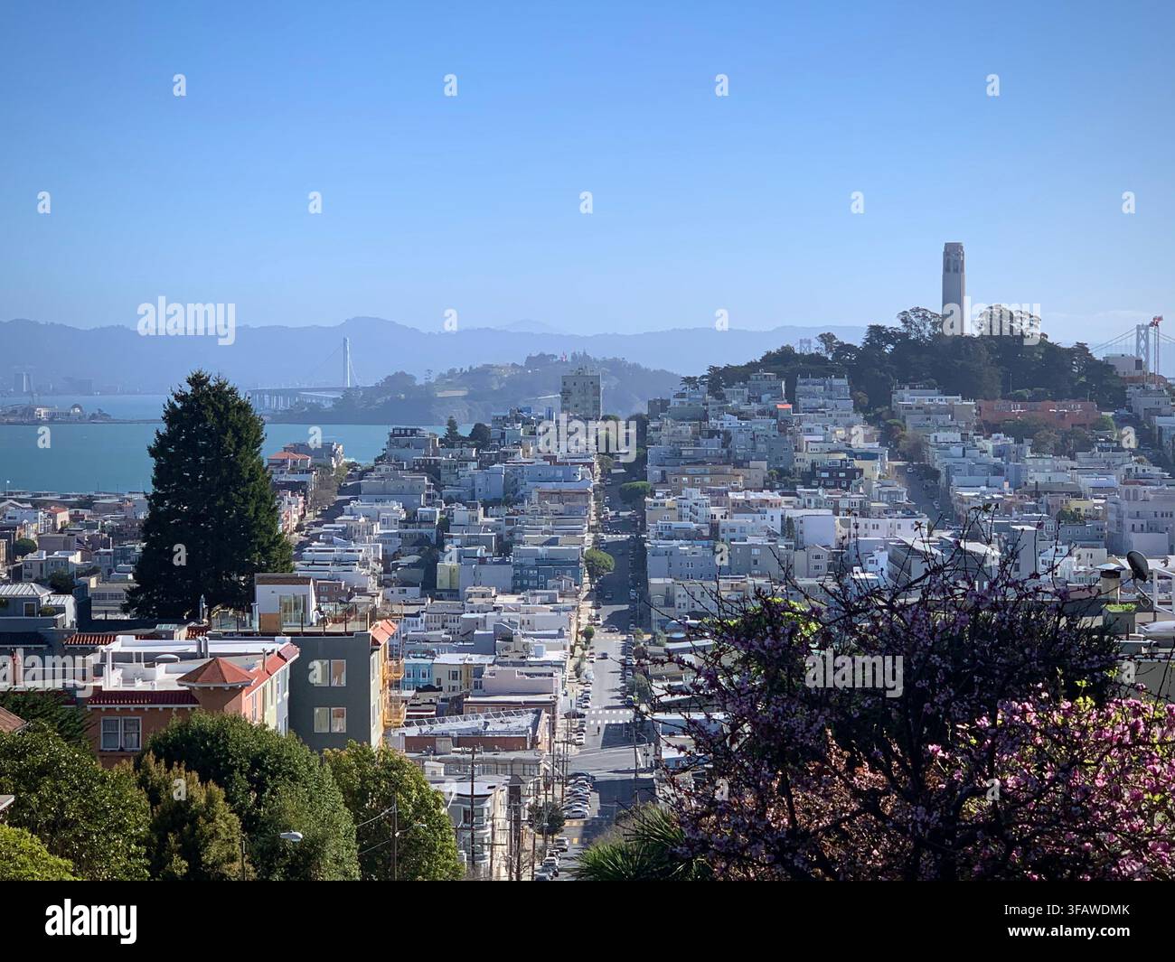 Blick auf die Stadtviertel von San Francisco und den Coit Tower (Kalifornien, USA) Stockfoto